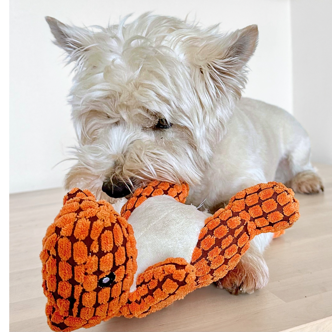 Juguete para mascota. Dinosaurio T-Rex. Perro Gato Morder