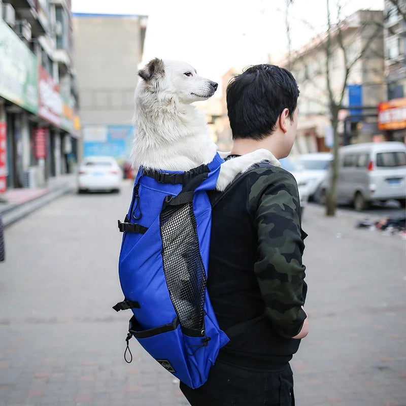 Mochila Transportadora Azul - Billy Pet Store
