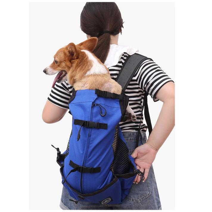 Mochila para perros, ideal para paseos y viajes