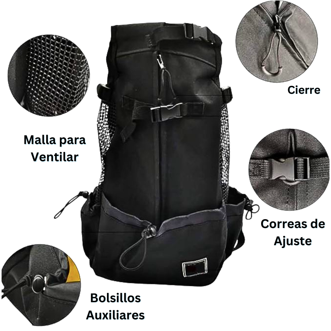 Mochila para perros, ideal para paseos y viajes
