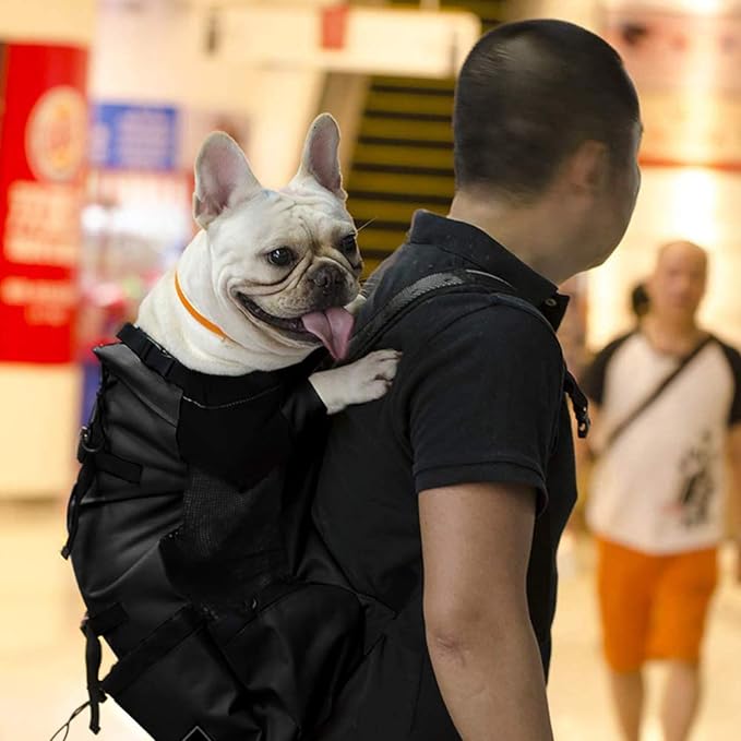 Mochila para perros, ideal para paseos y viajes