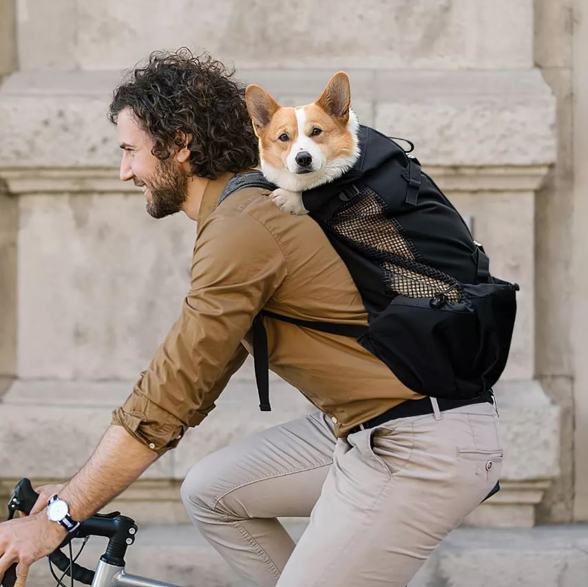 Mochila para perros, ideal para paseos y viajes.