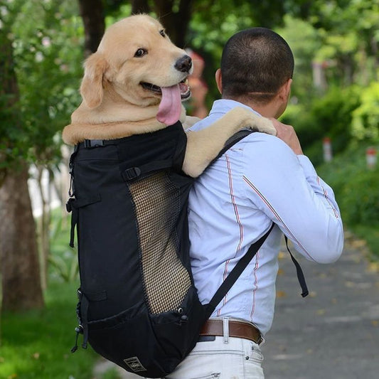 Tienda de Mascotas. Accesorios para Perros