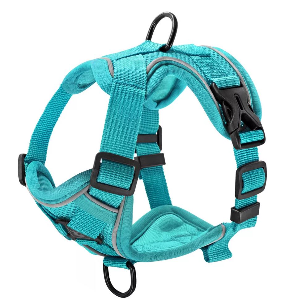 Arnés De Soporte De Cadera Para Perros, Patas Traseras Y Pat | Cuotas Arnés De Soporte De Cadera Para Perros, Patas Traseras Y Pat | Cuotas