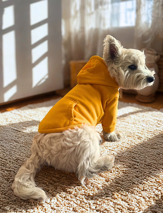 Poleron para perro, hoodie para perro 