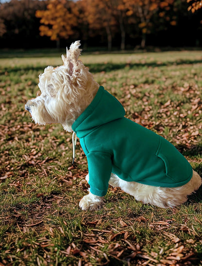 Poleron para perro, hoodie para perro 