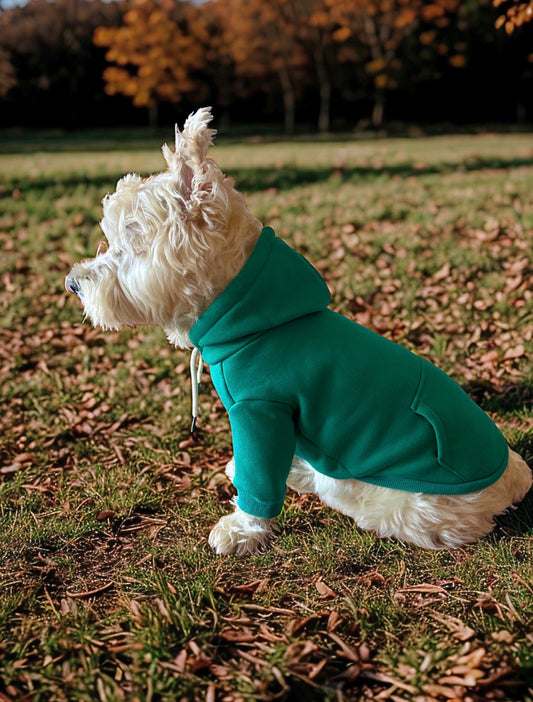 Poleron para perro, hoodie para perro 