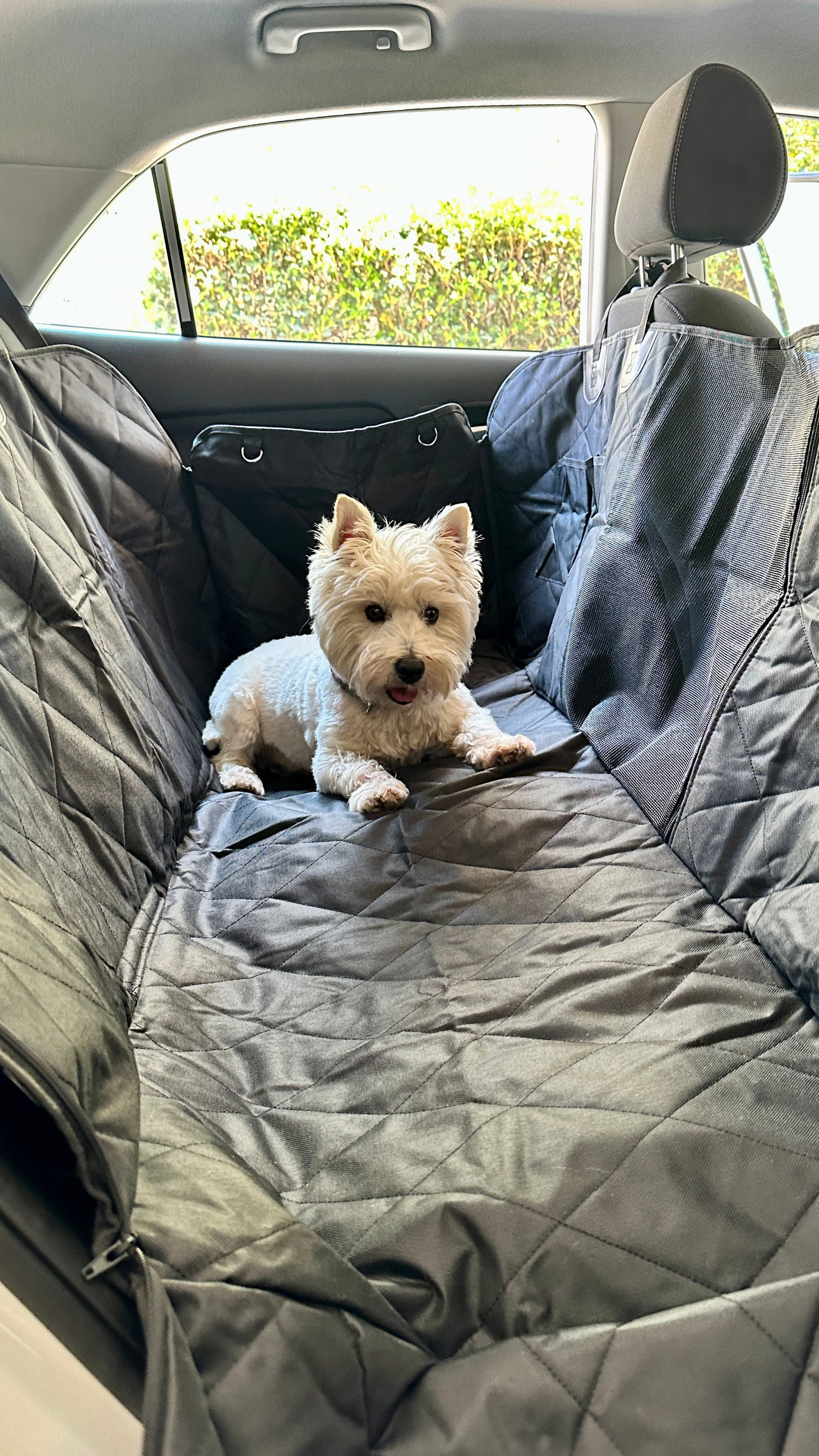 Cubre asiento de autos para mascotas 